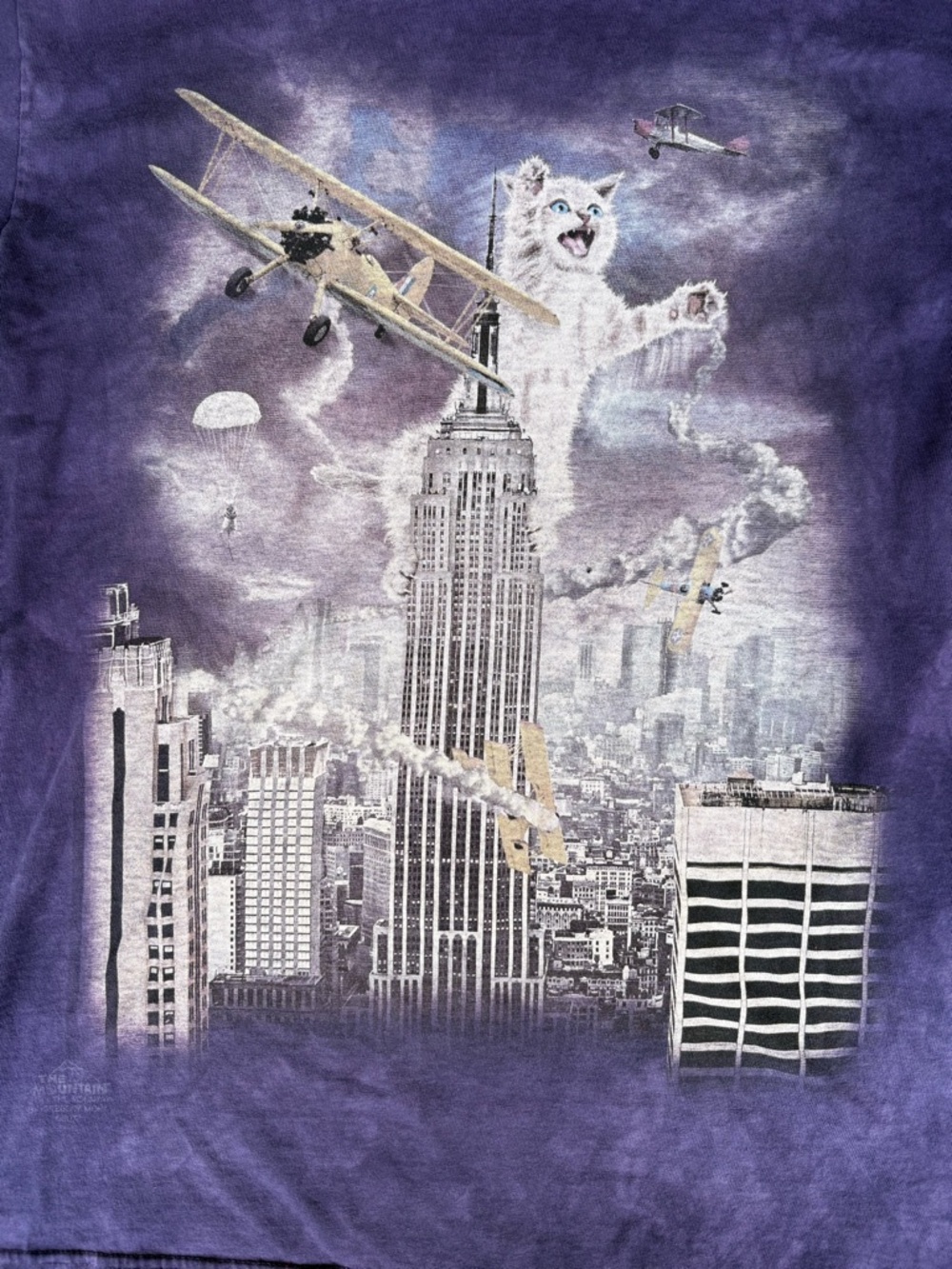 The Mountain Purple Tie-Dye Graphic Tee with Mountain Label